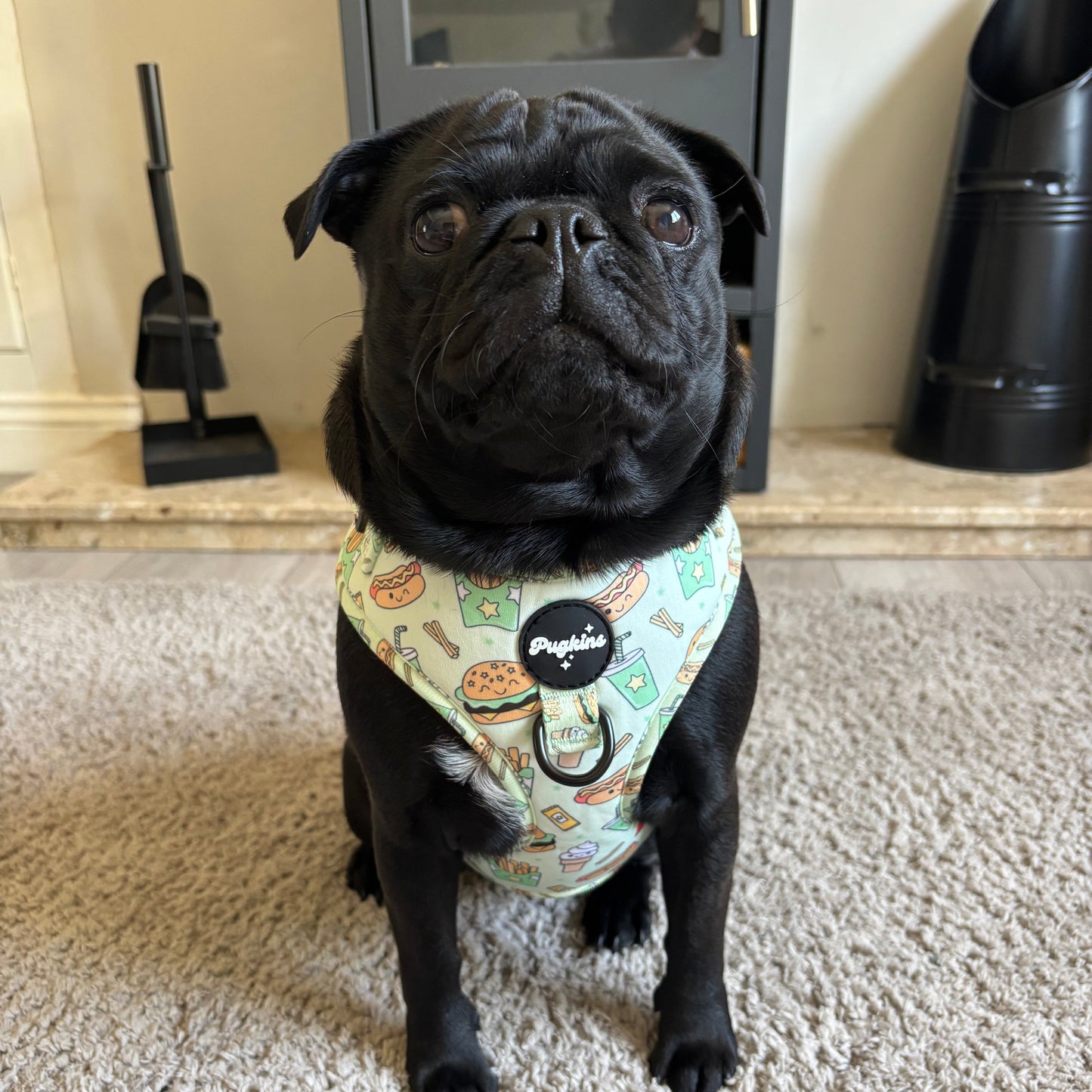 Paws and Patties Harness