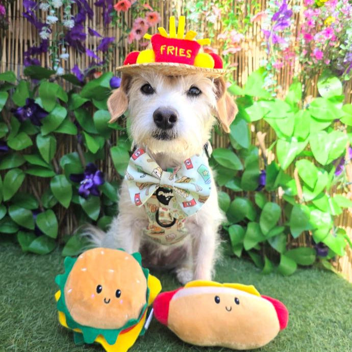 Paws and Patties Harness