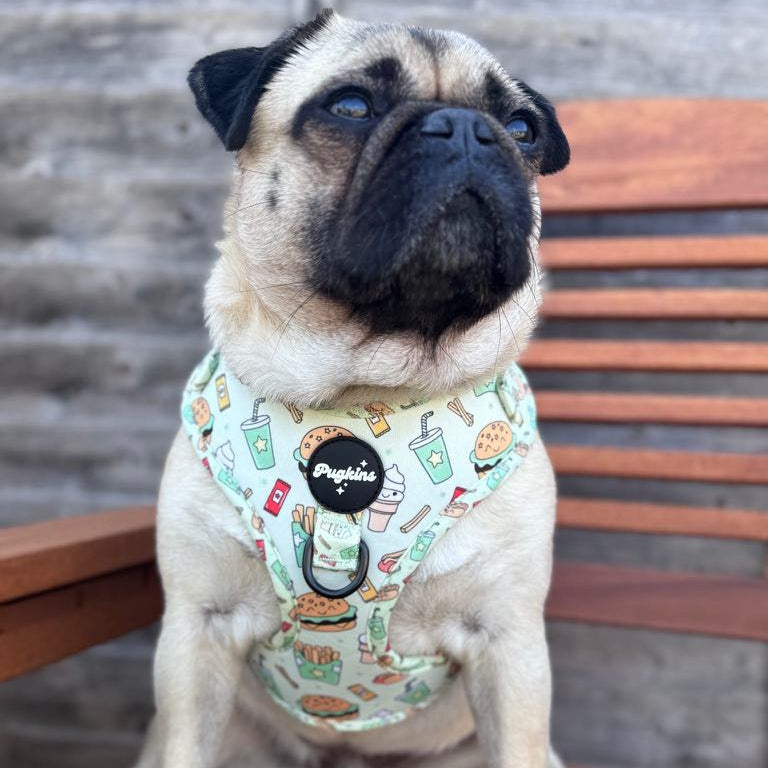 Paws and Patties Harness