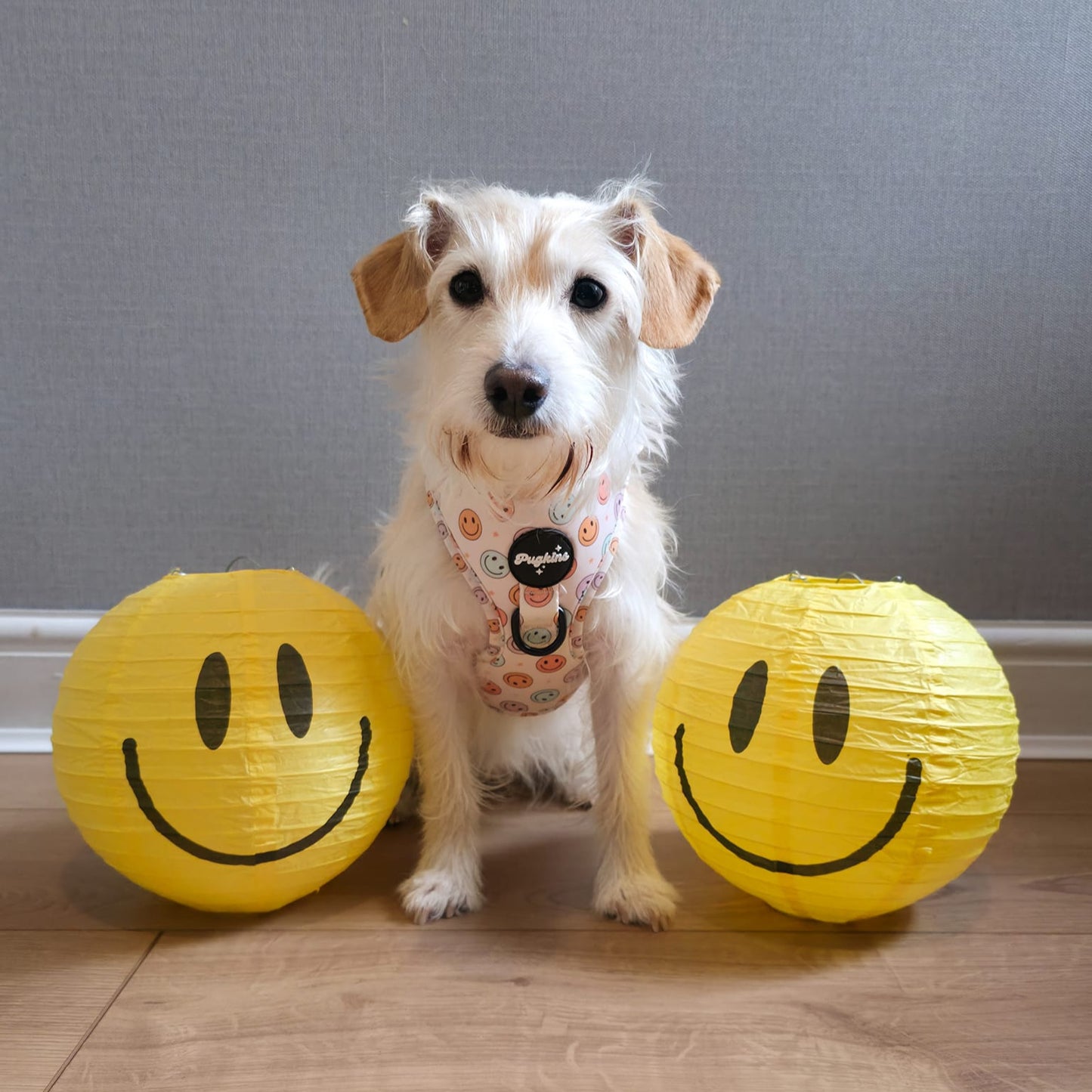 Retro Smiles Harness