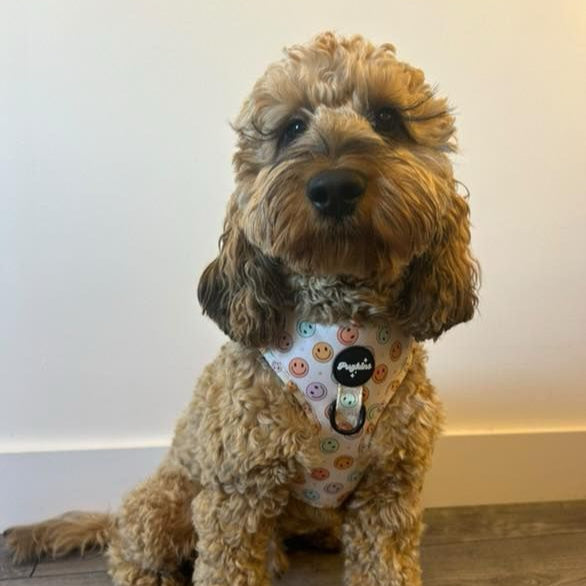Retro Smiles Harness