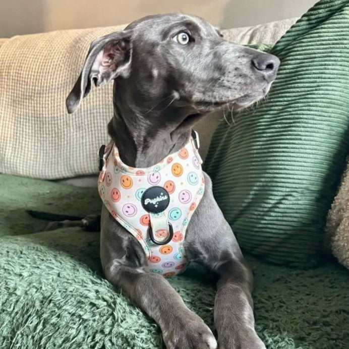 Retro Smiles Harness