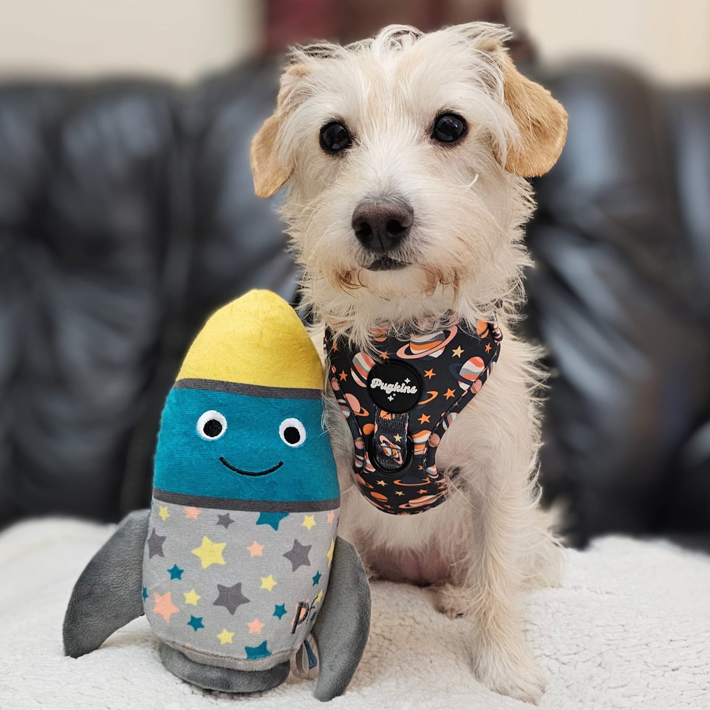 Houston We Have A Pawblem Harness