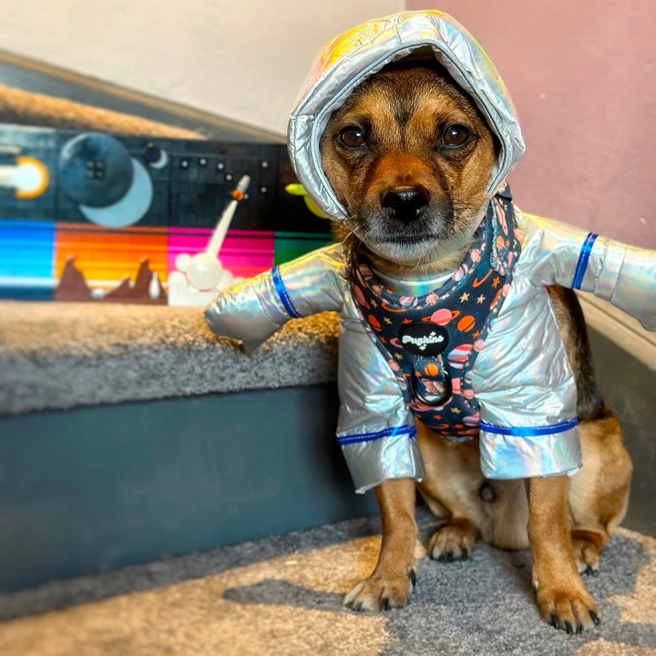 Houston We Have A Pawblem Harness