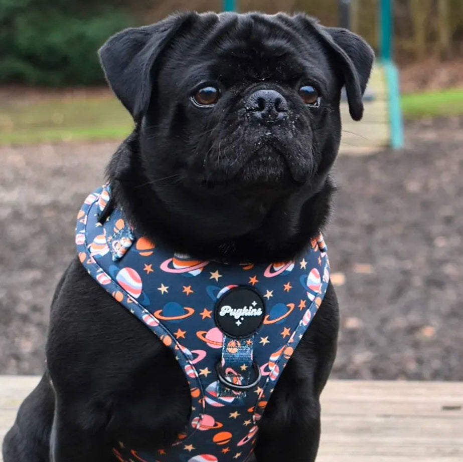 Houston We Have A Pawblem Harness