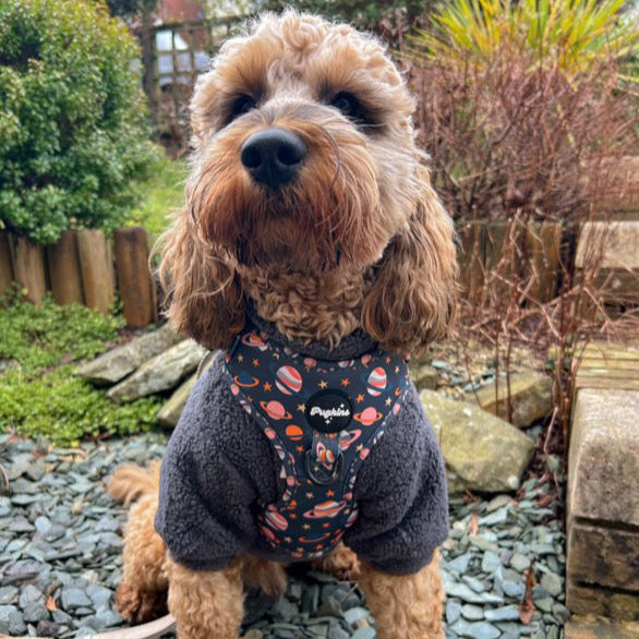 Houston We Have A Pawblem Harness