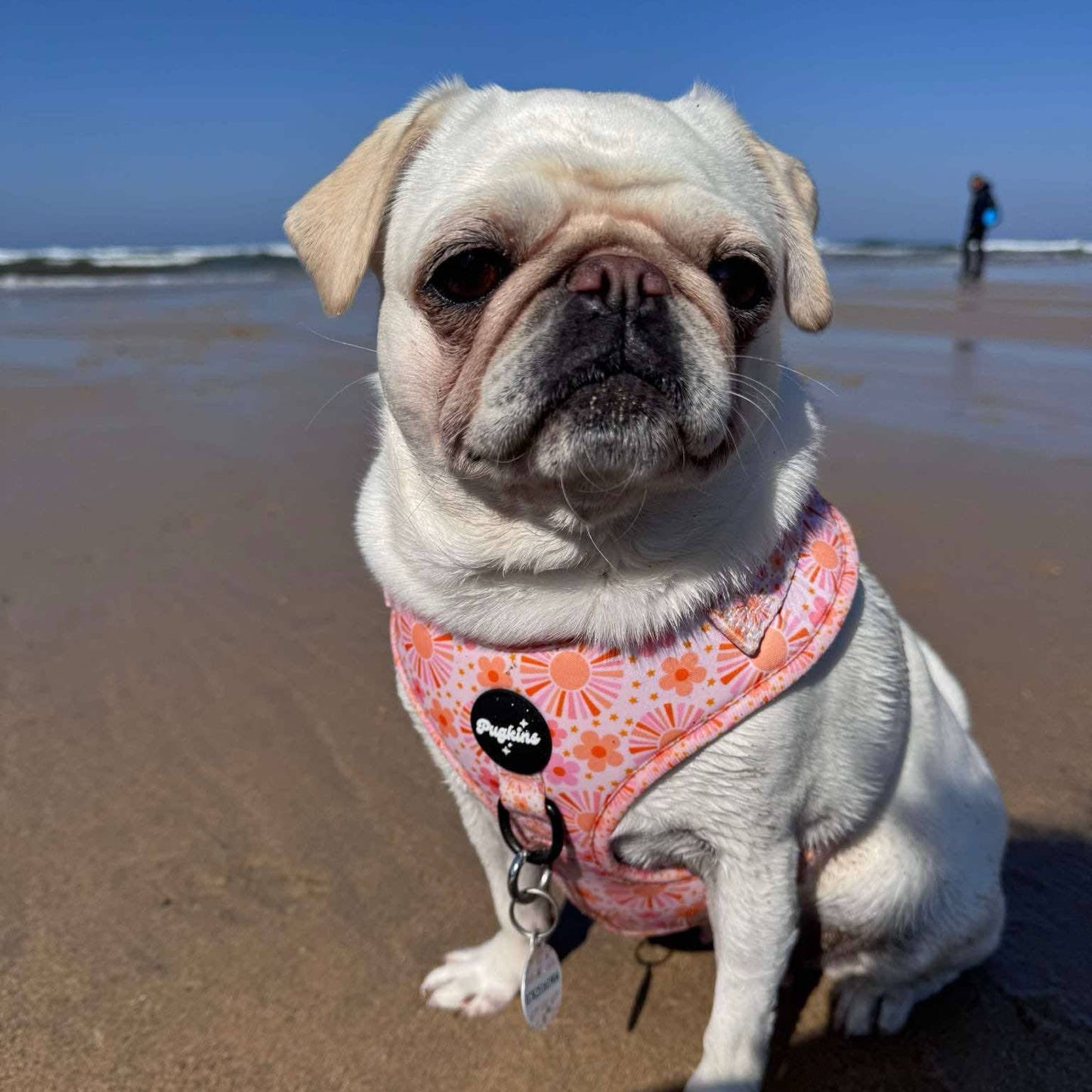 Cover Me In Sunshine Harness