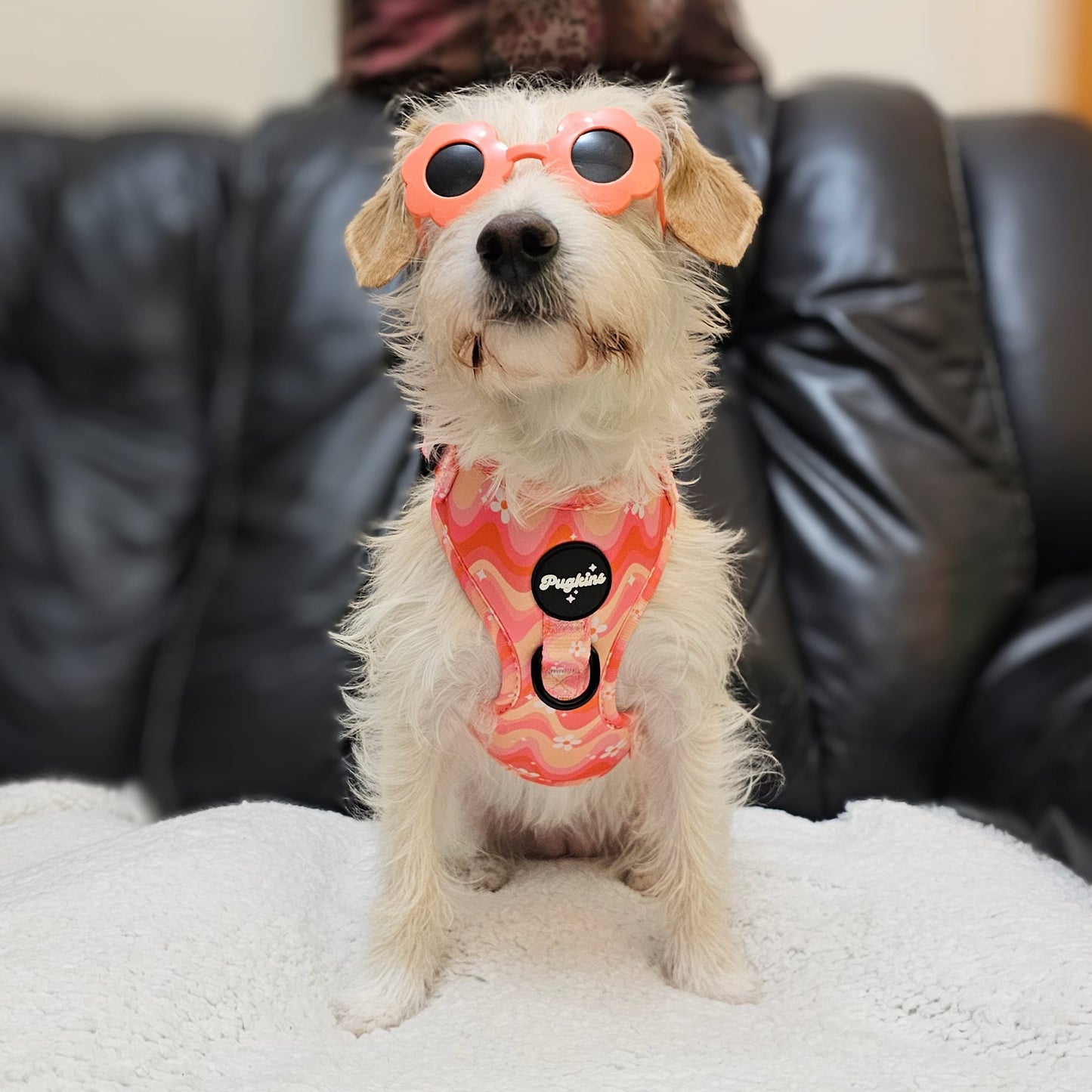 Wavy Baby Harness