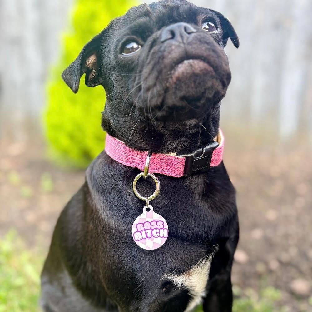 Boss Bitch