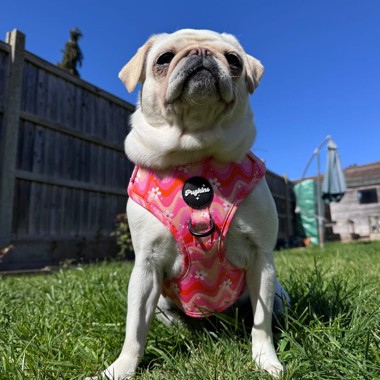 Wavy Baby Harness