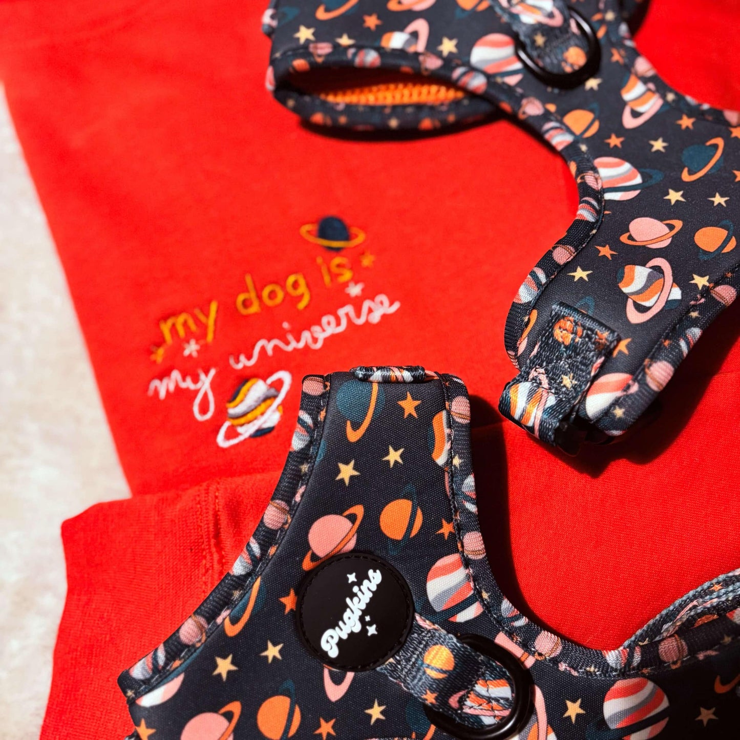 Houston We Have A Pawblem Embroidered Jumper