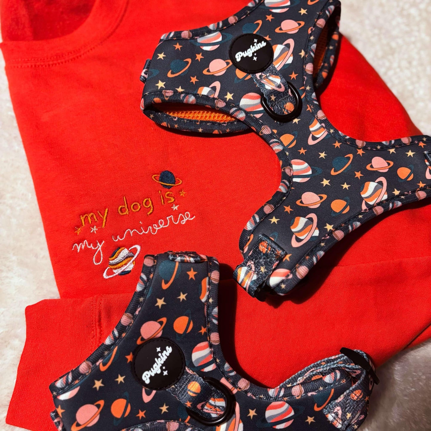 Houston We Have A Pawblem Embroidered Jumper