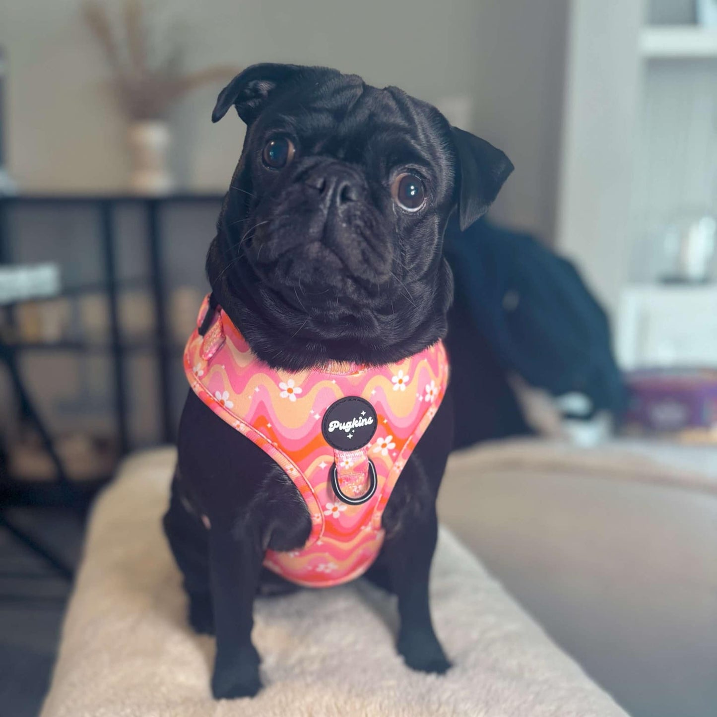 Wavy Baby Harness