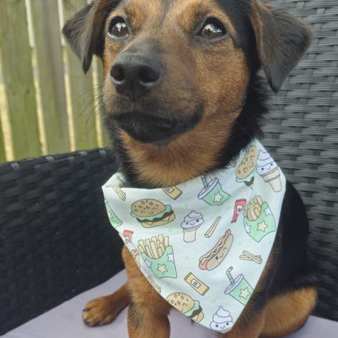 Paws and Patties Bandana